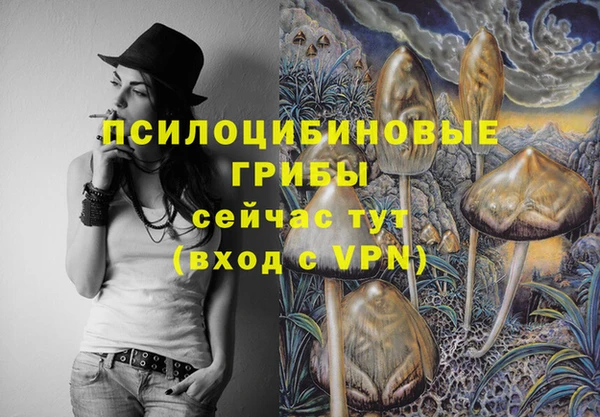 гашик Балахна