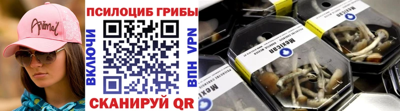 Псилоцибиновые грибы прущие грибы  продажа наркотиков  Семилуки 